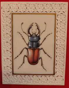 Hand Painted Insect Miniature Painting India Art Nature Synthetic Ivory - ArtUdaipur