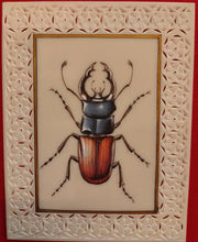 Load image into Gallery viewer, Hand Painted Insect Miniature Painting India Art Nature Synthetic Ivory - ArtUdaipur
