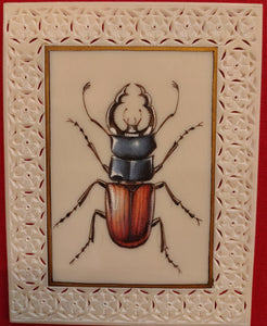 Hand Painted Insect Miniature Painting India Art Nature Synthetic Ivory - ArtUdaipur