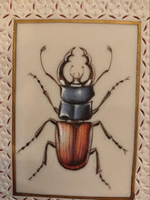 Load image into Gallery viewer, Hand Painted Insect Miniature Painting India Art Nature Synthetic Ivory - ArtUdaipur
