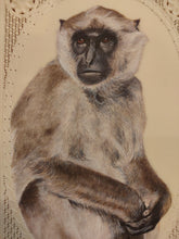 Load image into Gallery viewer, Hand Painted Monkey Animal Miniature Painting India Art Nature Synthetic Ivory - ArtUdaipur
