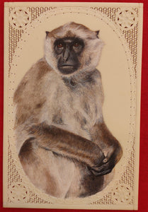 Hand Painted Monkey Animal Miniature Painting India Art Nature Synthetic Ivory - ArtUdaipur
