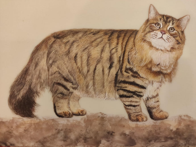Cat Painting Artwork