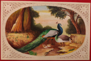 Hand Painted Peacock Bird Animal Miniature Painting India Art Wild - ArtUdaipur