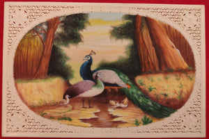 Hand Painted Peacock Bird Animal Miniature Painting India Art Wild - ArtUdaipur