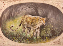 Load image into Gallery viewer, Hand Painted Tiger Animal Miniature Painting India Art Faux Synthetic Ivory - ArtUdaipur
