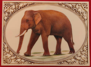 Hand Painted Elephant Horse Camel Miniature Painting India Art Carved - ArtUdaipur