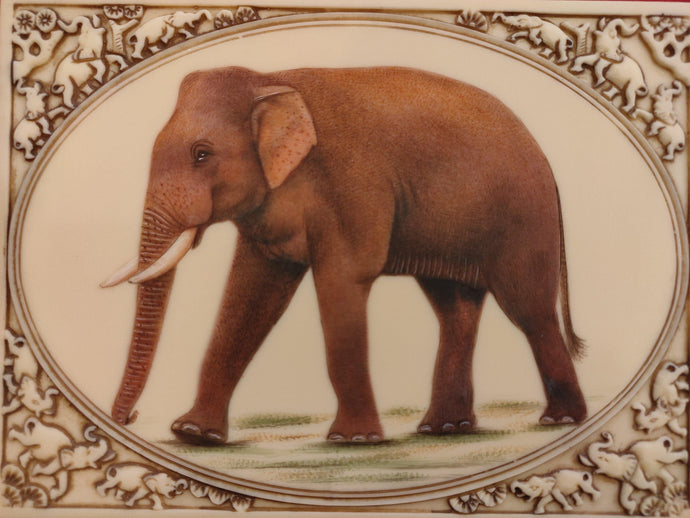 Elephant Painting Artwork Home Decor