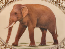 Load image into Gallery viewer, Hand Painted Elephant Horse Camel Miniature Painting India Art Carved - ArtUdaipur
