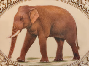 Hand Painted Elephant Horse Camel Miniature Painting India Art Carved - ArtUdaipur