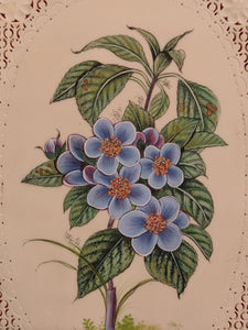 Beautiful Flower Petals Plant Best Home Decor Artwork Collection - ArtUdaipur