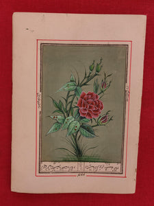 Beautiful Rose on Paper Best Art Collection and Home Decor Paper - ArtUdaipur