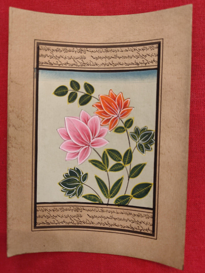 Beautiful Flower Flora Art Collection