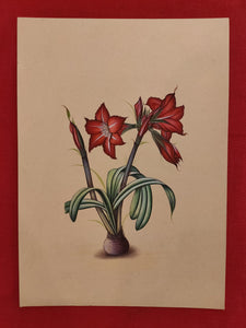 Red Blossom Flower Best Collectible Art Collection - ArtUdaipur