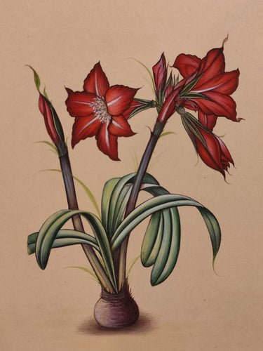Home Decor Flower Art Collection Interior