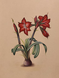 Red Blossom Flower Best Collectible Art Collection - ArtUdaipur