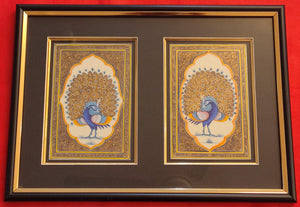 Framed Peacock Pair Bird Indian Miniature Painting - ArtUdaipur