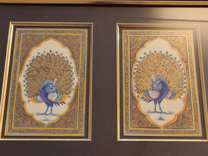 Framed Peacock Pair Bird Indian Miniature Painting - ArtUdaipur