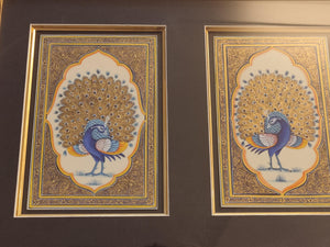 Framed Peacock Pair Bird Indian Miniature Painting - ArtUdaipur