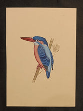 Load image into Gallery viewer, Kingfisher Bird Painting 

