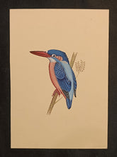 Load image into Gallery viewer, Painting of Bird
