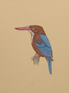 Exotic Bird Painting