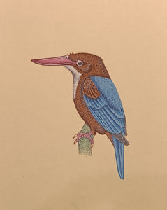 KingFisher Bird Painting