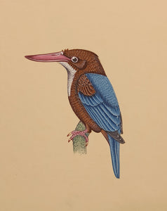 Real KingFisher Bird Painting