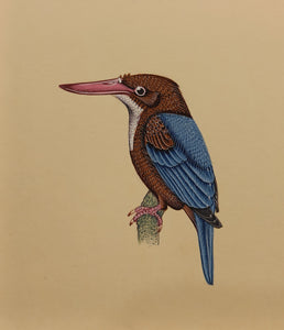 Bird lover Painting