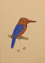 Load image into Gallery viewer, KingFisher Bird
