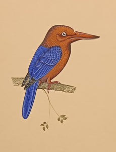 Indian Miniature painting