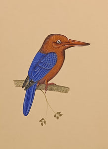 Nature Wild life Painting