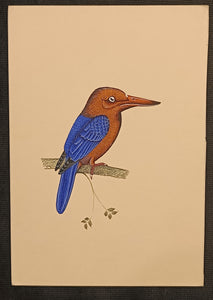 Hand Painted Bird Artwork 