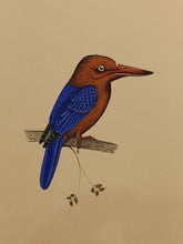 Load image into Gallery viewer, Indian Birds Painting
