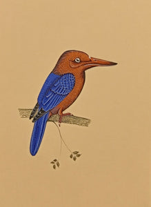 Bird gift Painting 