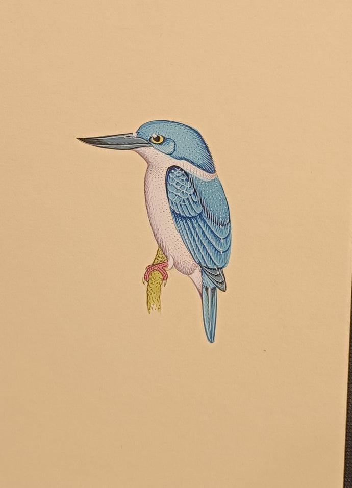 Blue Kingfisher Bird