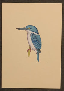 KingFisher Bird Art