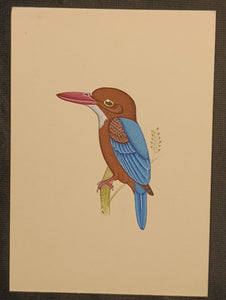 Nature Bird Lover Artwork