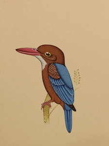 Kingfisher bird art