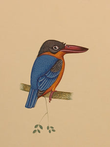 Hand Painted Blue Orange KingFisher Bird Indian Miniature Painting Art