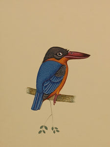 Hand Painted Blue Orange KingFisher Bird Indian Miniature Painting Art