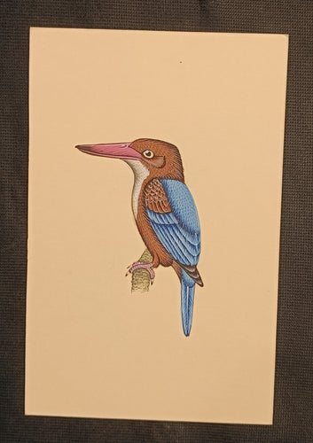 KingFisher artwork
