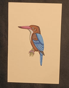 Kingfisher painting 