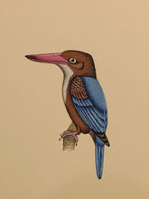 Load image into Gallery viewer, Real Kingfisher indian Miniature Paintings 

