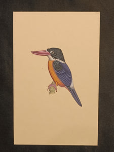 Indian Miniature Painting