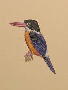 Colourful Kingfisher Artwork 