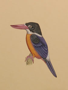 Original bird painting