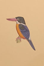 Load image into Gallery viewer, Kingfisher painting art
