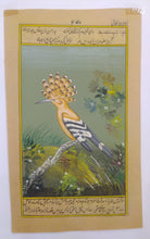Load image into Gallery viewer, Hoopoe Bird Birds Miniature Painting India Art Nature Fine Art - ArtUdaipur
