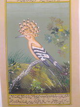 Load image into Gallery viewer, Hoopoe Bird Birds Miniature Painting India Art Nature Fine Art - ArtUdaipur
